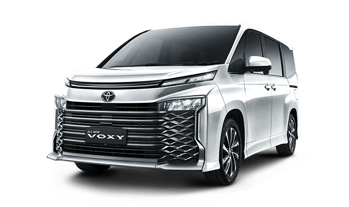 Voxy - Image 4