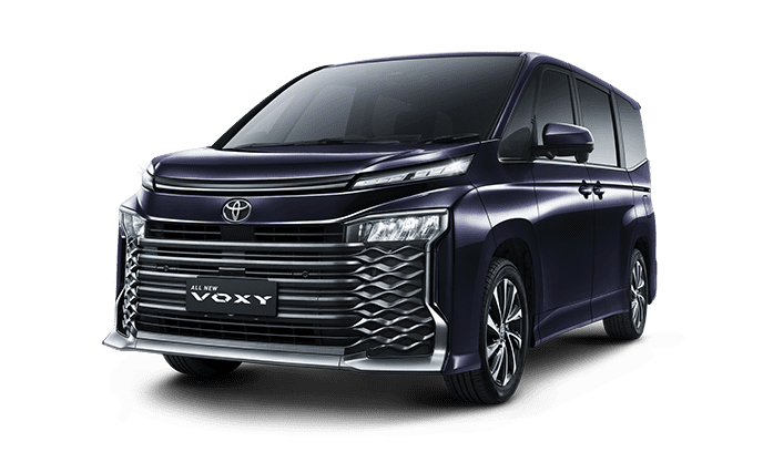 Voxy - Image 3